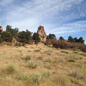 Meet your Posher, Joanne